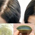 The Best Home Remedies for Hair Loss: Natural Solutions to Reduce Hair Loss and Stimulate Hair Growth